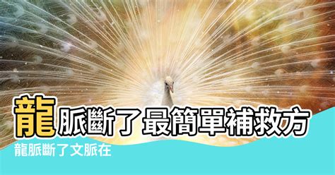 斷龍脈 意思|【斷龍脈意思】揭開古代風水秘辛：斷龍脈的真相與後果